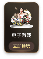 电子游戏